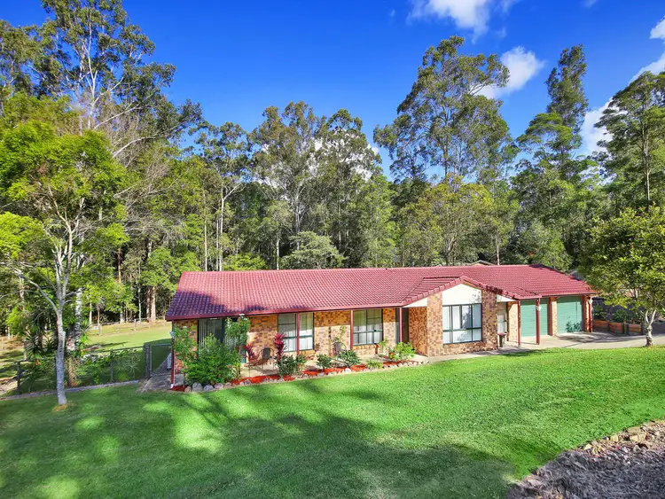 19 Blackbean Court, Black Mountain QLD 4563
