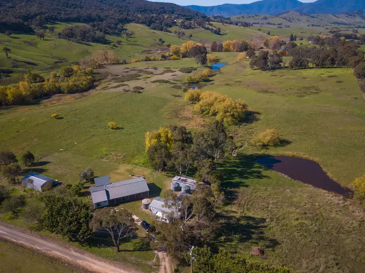 Main view of Homely rural property listing, 8 Hicks Lane, Dederang VIC 3691