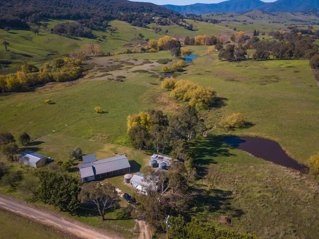 Main view of Homely rural property listing, 8 Hicks Lane, Dederang VIC 3691