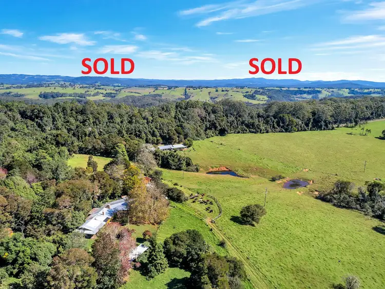 Main view of Homely rural property listing, 406 Lower Bielsdown Road, Dorrigo NSW 2453