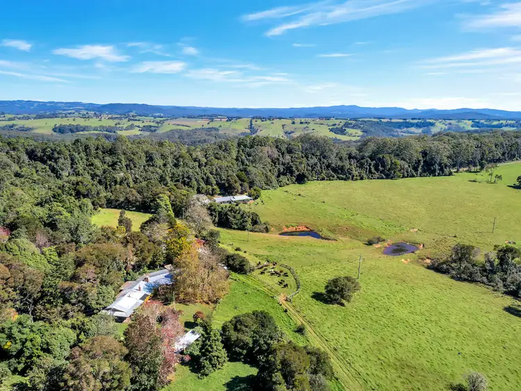 Third view of Homely rural property listing, 406 Lower Bielsdown Road, Dorrigo NSW 2453