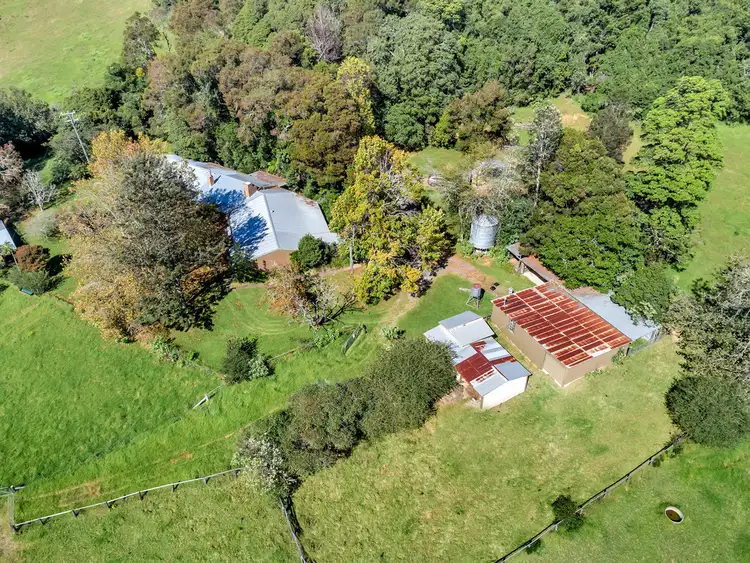 Fourth view of Homely rural property listing, 406 Lower Bielsdown Road, Dorrigo NSW 2453