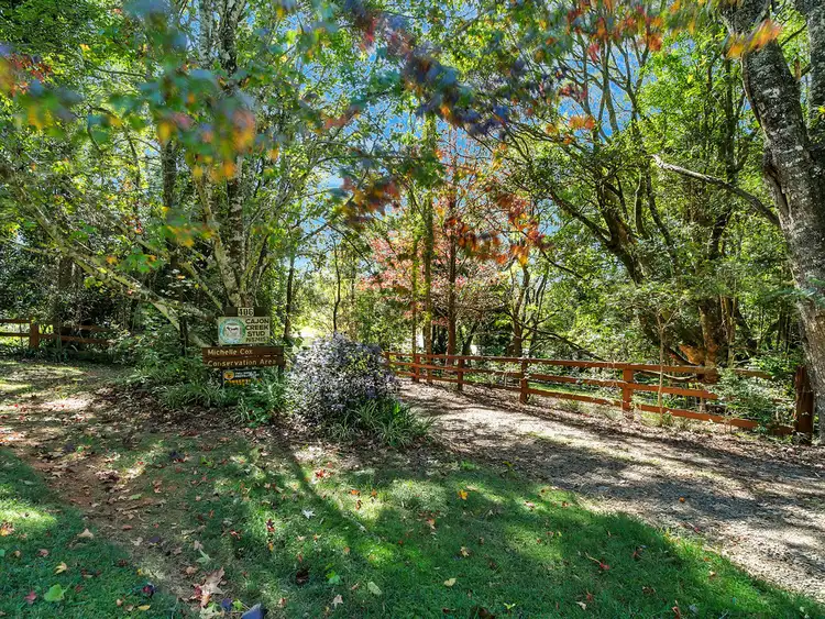 Fifth view of Homely rural property listing, 406 Lower Bielsdown Road, Dorrigo NSW 2453