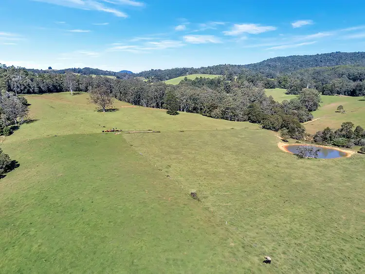Seventh view of Homely rural property listing, 406 Lower Bielsdown Road, Dorrigo NSW 2453