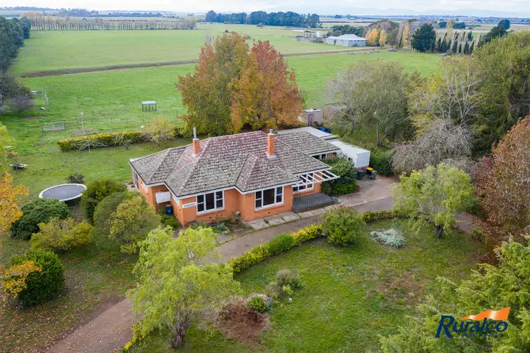 Third view of Homely rural property listing, 358 Elphinstone Road, Cressy TAS 7302