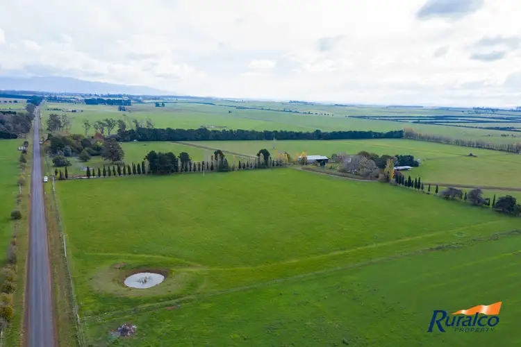 Fourth view of Homely rural property listing, 358 Elphinstone Road, Cressy TAS 7302