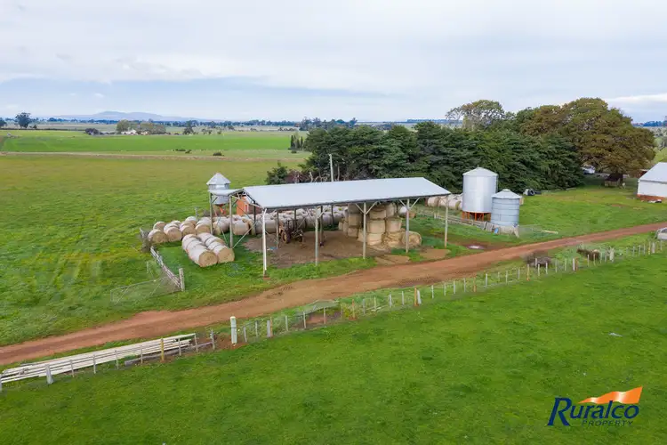 Seventh view of Homely rural property listing, 358 Elphinstone Road, Cressy TAS 7302