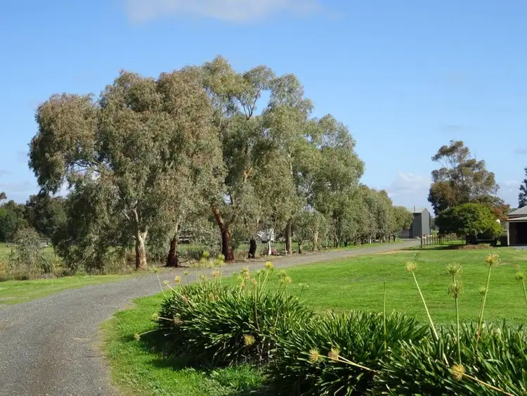 Fifth view of Homely rural property listing, 390 Wharparilla, Echuca VIC 3564