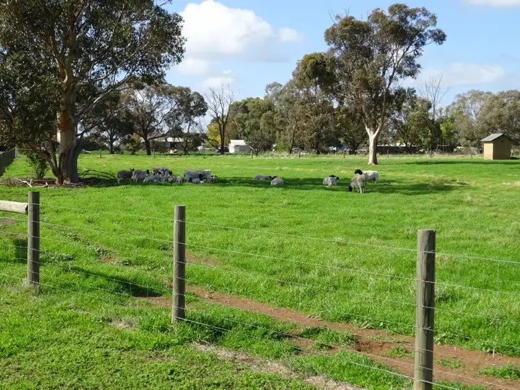 Sixth view of Homely rural property listing, 390 Wharparilla, Echuca VIC 3564