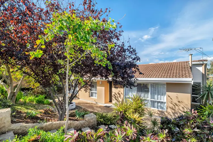 12 Ella Crescent, O'halloran Hill SA 5158
