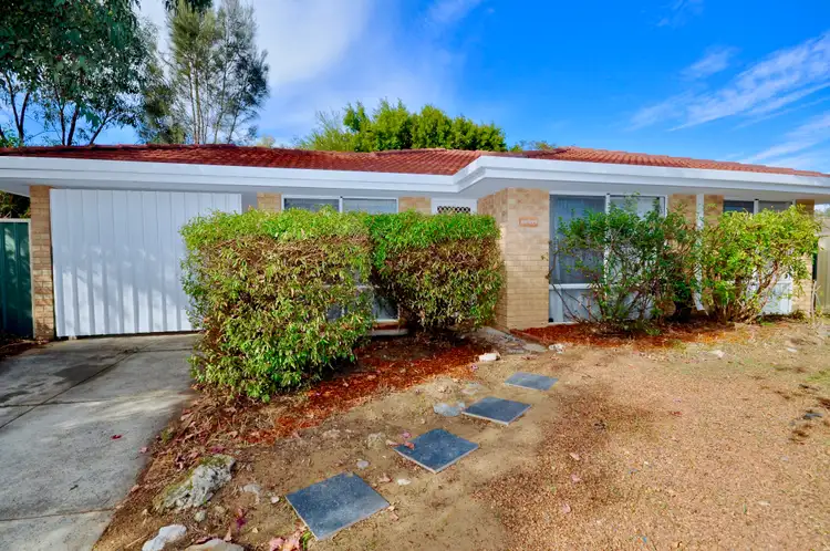 Main view of Homely house listing, 19 Simmons Loop, Parmelia WA 6167