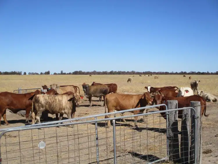 Third view of Homely rural property listing, 613 ACRES CLOSE TO TOWN, Tara QLD 4421