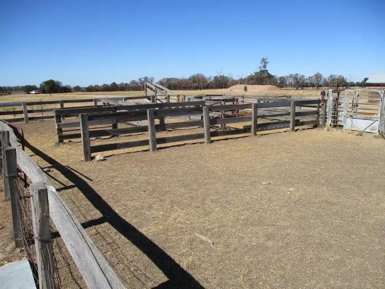 Sixth view of Homely rural property listing, 613 ACRES CLOSE TO TOWN, Tara QLD 4421