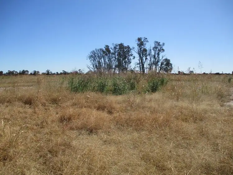 Seventh view of Homely rural property listing, 613 ACRES CLOSE TO TOWN, Tara QLD 4421