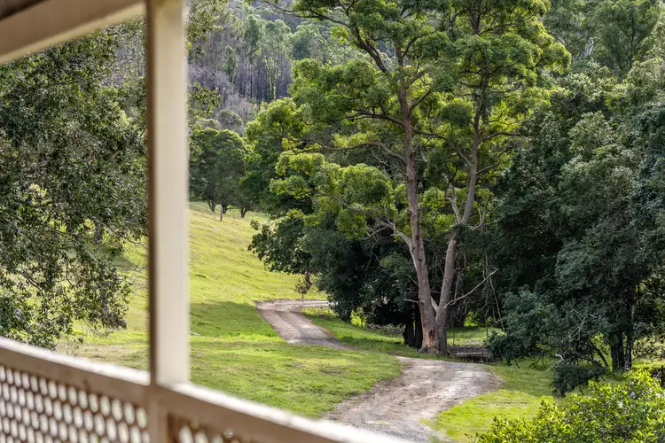 Main view of Homely rural property listing, 675 Careys Road, Hillville NSW 2430