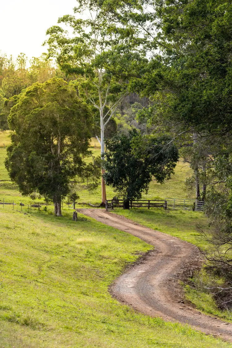 Second view of Homely rural property listing, 675 Careys Road, Hillville NSW 2430