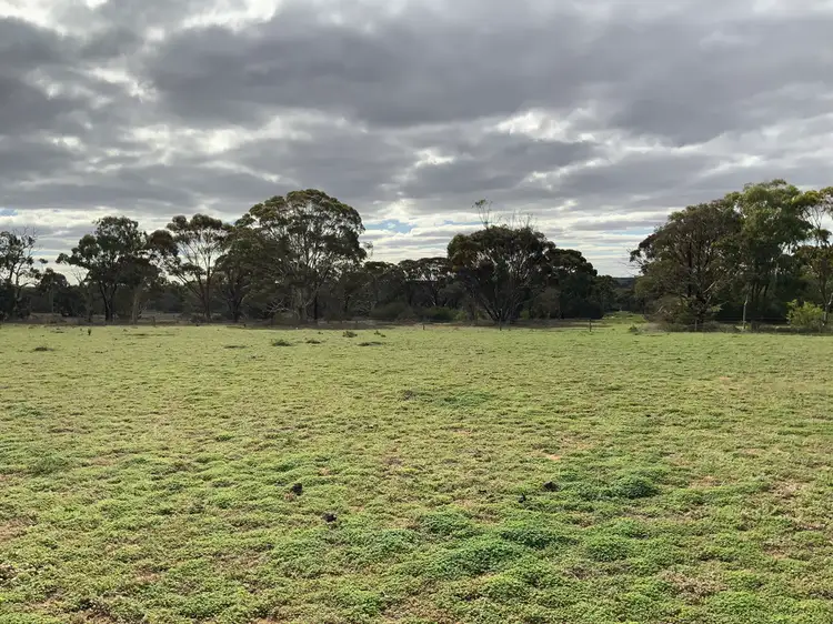 Third view of Homely rural property listing, 225 Schenscher Road, Monarto SA 5254