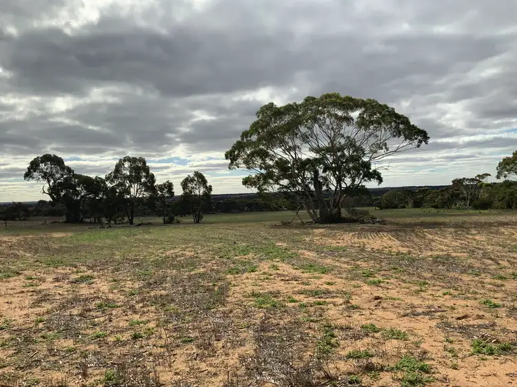 Sixth view of Homely rural property listing, 225 Schenscher Road, Monarto SA 5254