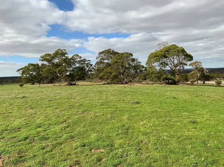 Seventh view of Homely rural property listing, 225 Schenscher Road, Monarto SA 5254