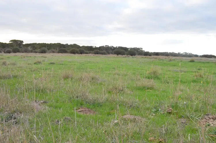 Main view of Homely rural property listing, Lot 454 Robertson Hundred Line Road, Naracoorte SA 5271