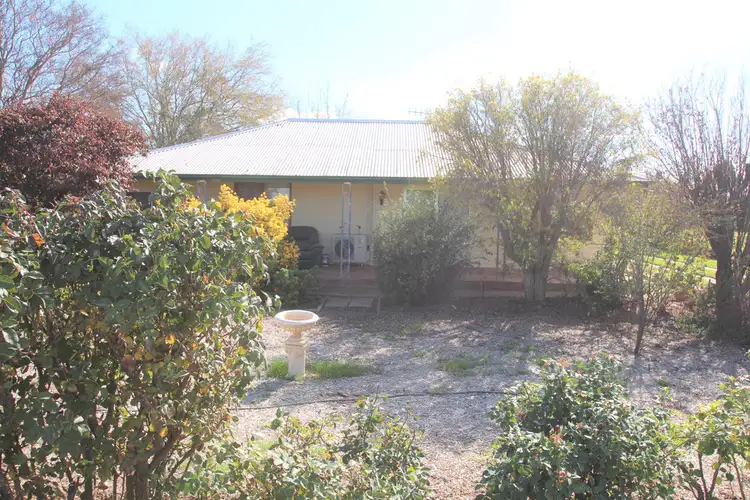 67 Goolwa Street, Renmark SA 5341