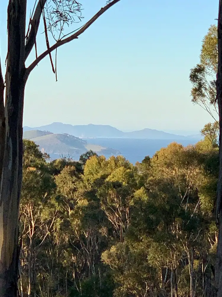 2503 Wielangta Road, Orford TAS 7190