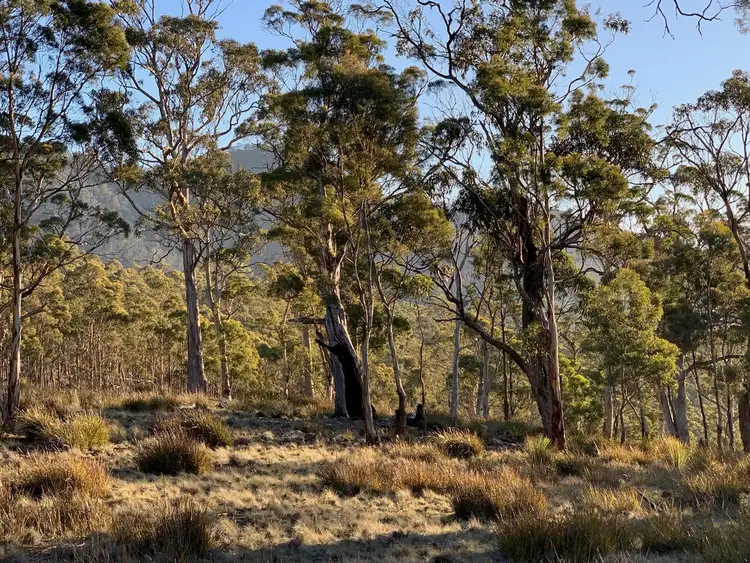 Second view of Homely land listing, 2503 Wielangta Road, Orford TAS 7190