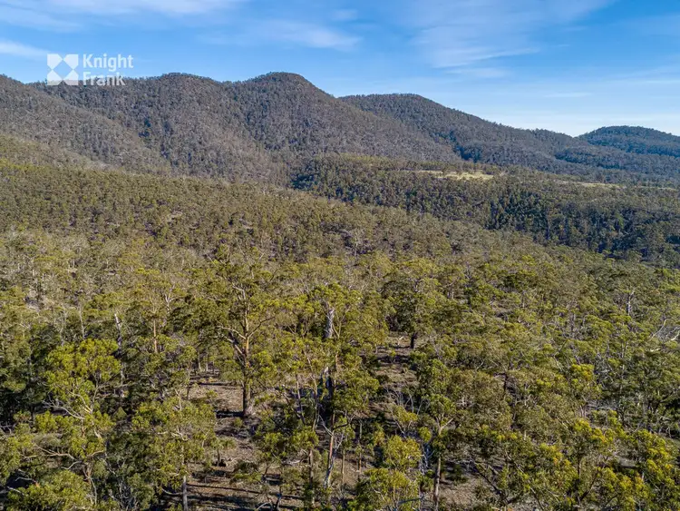 Sixth view of Homely land listing, 2503 Wielangta Road, Orford TAS 7190