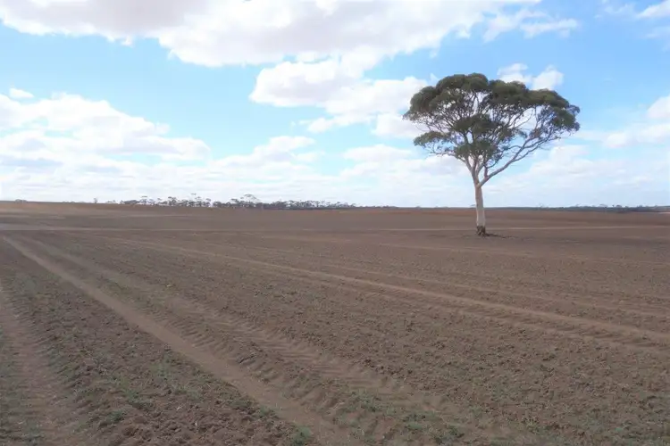 Main view of Homely rural property listing, L265 Calzoni Road, Woolocutty WA 6369
