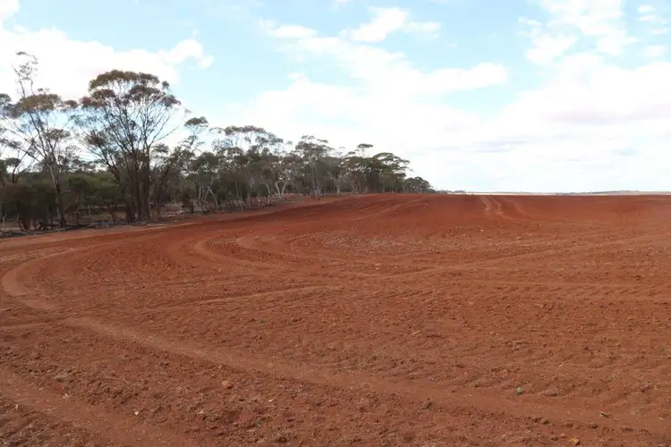 Second view of Homely rural property listing, L265 Calzoni Road, Woolocutty WA 6369