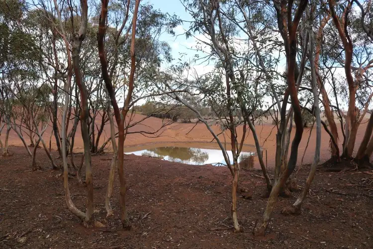 Third view of Homely rural property listing, L265 Calzoni Road, Woolocutty WA 6369