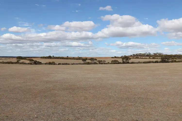 Fourth view of Homely rural property listing, L265 Calzoni Road, Woolocutty WA 6369
