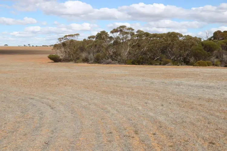 Fifth view of Homely rural property listing, L265 Calzoni Road, Woolocutty WA 6369