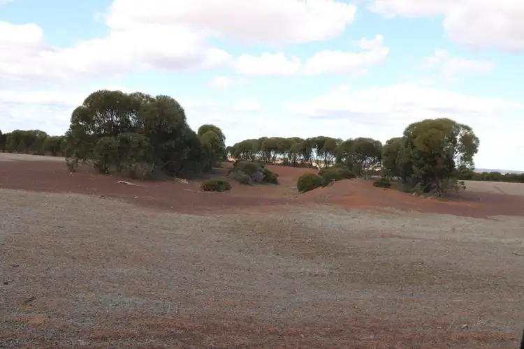 Seventh view of Homely rural property listing, L265 Calzoni Road, Woolocutty WA 6369