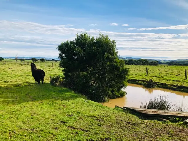 Sixth view of Homely rural property listing, 280 Grip Rd, Toora VIC 3962