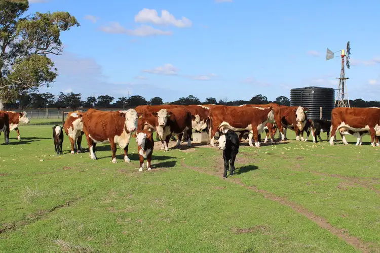 Main view of Homely rural property listing, 524 Bool Lagoon West Road, Bool Lagoon SA 5271