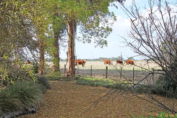 Third view of Homely rural property listing, 524 Bool Lagoon West Road, Bool Lagoon SA 5271