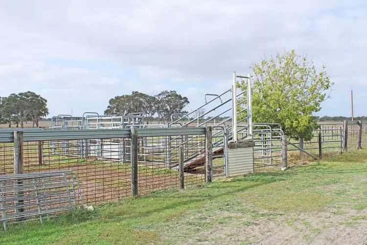 Sixth view of Homely rural property listing, 524 Bool Lagoon West Road, Bool Lagoon SA 5271