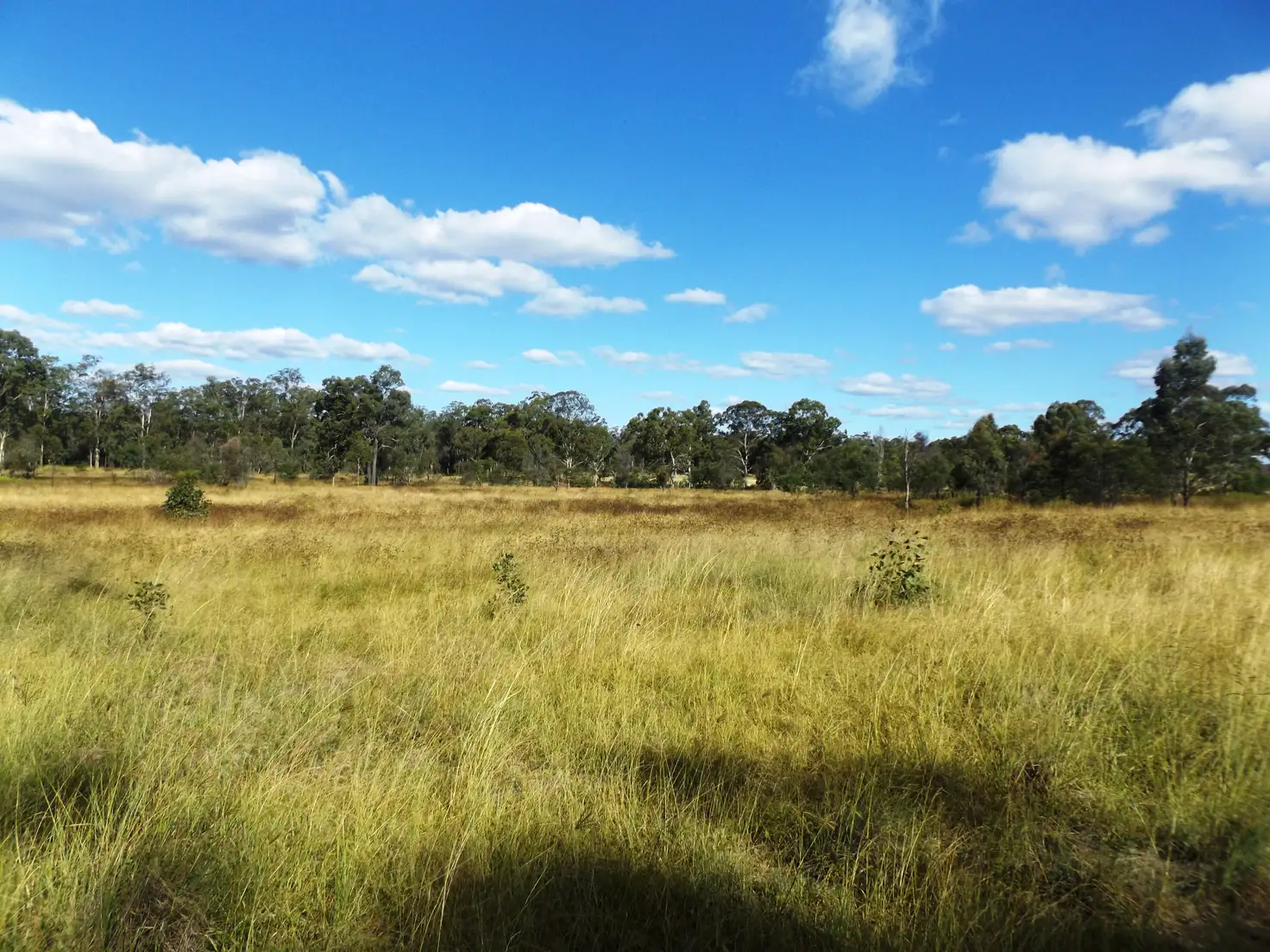 Main view of Homely rural property listing, Lot 112 Old Wondai Road, Wondai QLD 4606