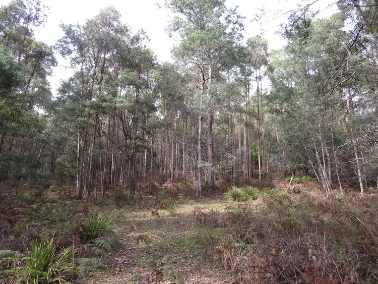 Seventh view of Homely rural property listing, . Daveys Road, Beulah TAS 7306