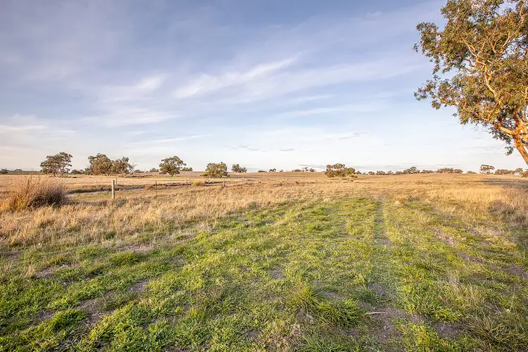 Fourth view of Homely rural property listing, 2355 Woolumbool Road, Lucindale SA 5272