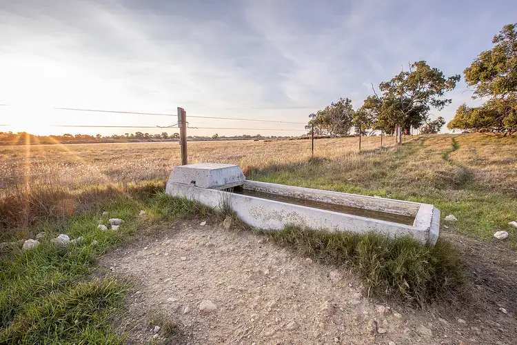 Seventh view of Homely rural property listing, 2355 Woolumbool Road, Lucindale SA 5272