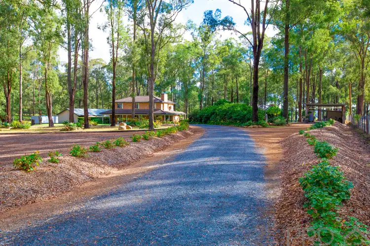 Main view of Homely house listing, 193 Duns Creek Road, Duns Creek NSW 2321