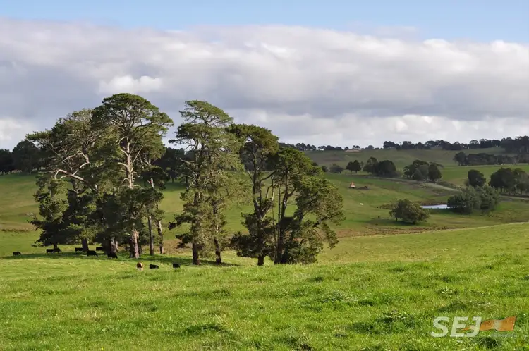 Second view of Homely rural property listing, 85 Smiths Road, Mardan VIC 3953