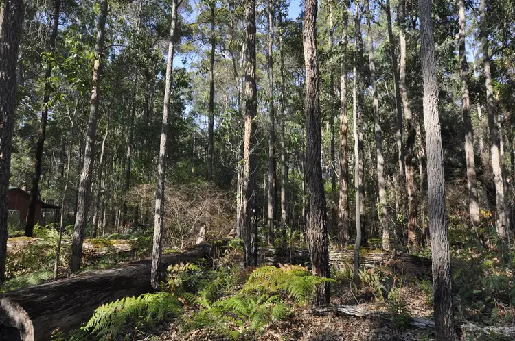 Third view of Homely land listing, Lot 123 KARRI LANE, Quinninup WA 6258