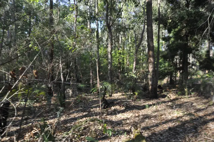 Fifth view of Homely land listing, Lot 123 KARRI LANE, Quinninup WA 6258