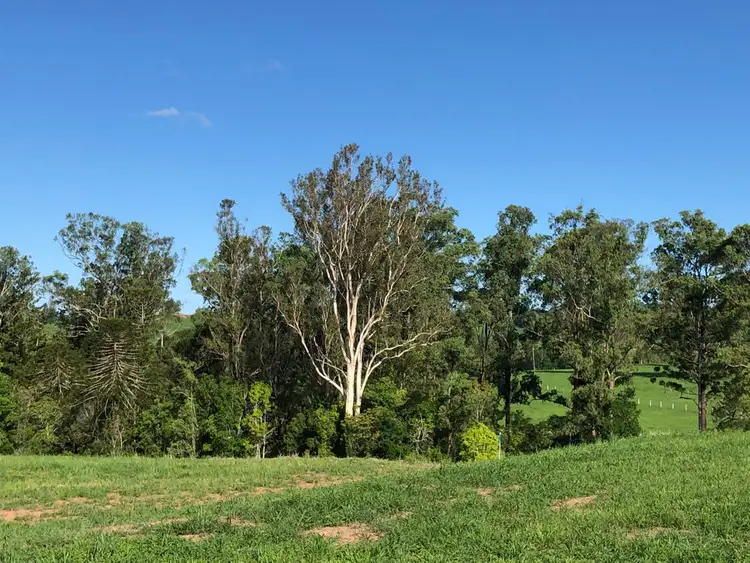 Lot 44 Watergum Drive, Pie Creek QLD 4570