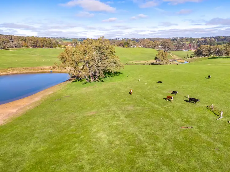 Second view of Homely rural property listing, A1 Mount View Road, Mount Torrens SA 5244