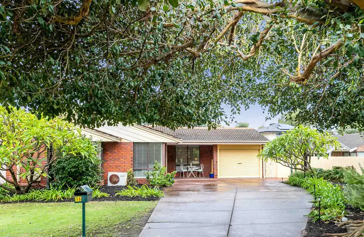 Second view of Homely house listing, 16 Barrow Crescent, Shelley WA 6148