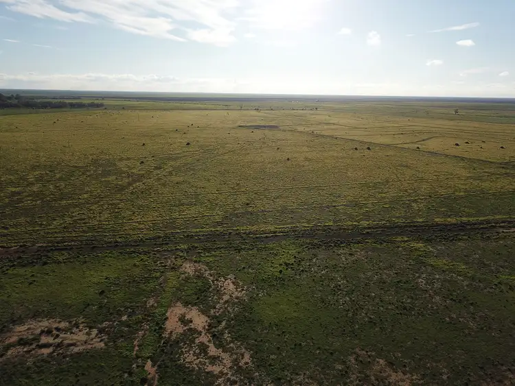 Third view of Homely rural property listing, 1125 Murrumbidgee River Road, Hay NSW 2711